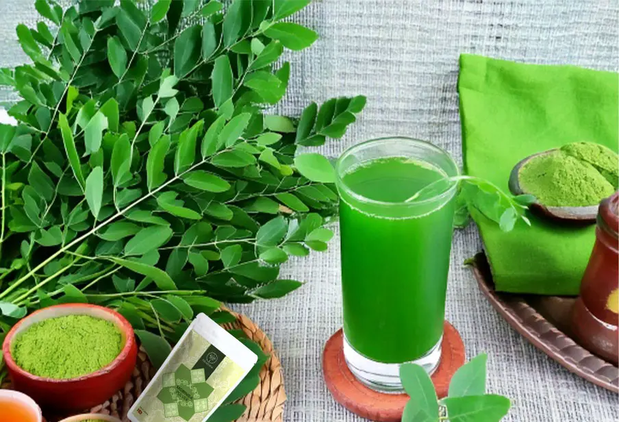 Moringa Powder
