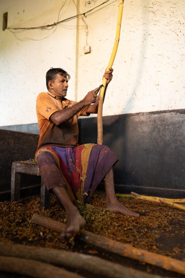 DSC02646 Ceylon Turmeric Powder