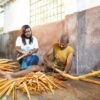 Ceylon Cinnamon Powder