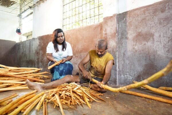 Ceylon Cinnamon Sticks