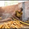 Ceylon Cinnamon Powder