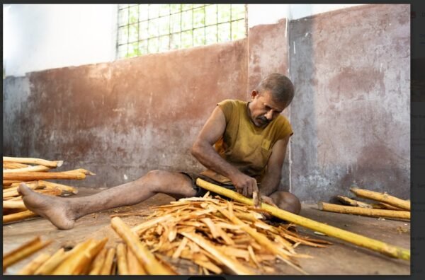 Ceylon Cinnamon Powder
